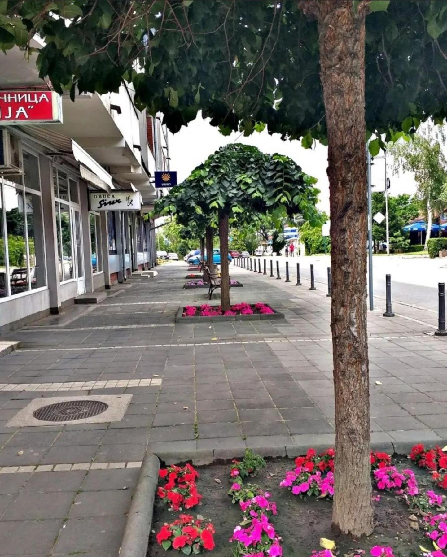 Apartmani Koki Kladovo Extérieur photo
